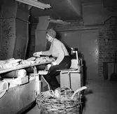 Plockerska vid Cementa