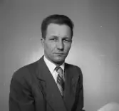 Porträtt av herr Ahdinen (alternativt Ahtinen).