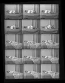 Barnporträtt, polyfoto. Josef. 
Fru Gunhild Szilaggi, Kolbäck.
Ur Gustaf Åhmans samling.