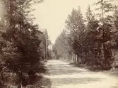 Nynäsvägen