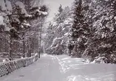 Nynäsvägen