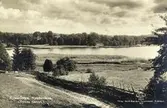Nynäsviken