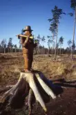 Träskulptur på stubbe vid Tomasboda, 1994