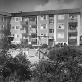 Hyreshus i Baronbackarna, 1960-tal