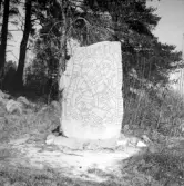 Nastastenen i Glanshammar. 1960-tal