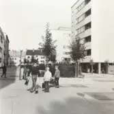 Barn på väg hem, 1950-tal