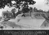 E. Johanssons handelsträdgård