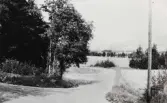 Sörbyskogen mot Söbyängen, 1960-tal