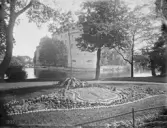 Kaktusplantering i Centralparken, 1920-tal