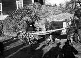 Barn i vagn, Rangsta