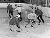 Hockeybockey på Estörinken