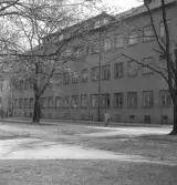 Nikolai läroverk vid Oskarsparken, 1960-tal