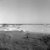 Vinter på Norra kyrkogården, 1977-01-28