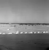 Norra kyrkogården under vintern, 1977-01-28