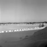 Norra kyrkogården, 1977-01-28