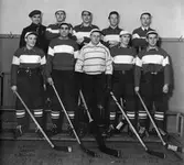 NIF ishockeylag herrar