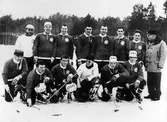 NIF:s bandylag 1965
