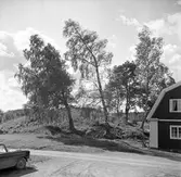 Ättehögen