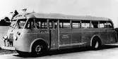 Buss nr 6