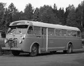 Buss nr 19