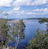 Utsikt från Oskarsberget