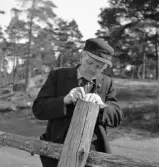 När våren kom, 1944. 
En äldre man skriver ner något, lutad mot en gärdsgårdsstör.