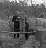 När våren kom, 1944. 
Orientering. En man och två yngre kvinnor diskuterar något på
en karta.