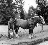 Georg Oskarsson, Grindsjön