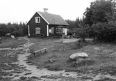 Skärlinge livs, Lisö