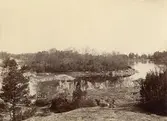 Bedarön