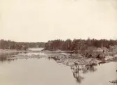 Bedarön