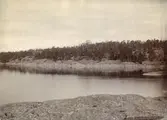Bedarön