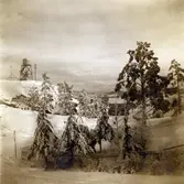 Fyrberget i vinterskrud