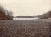 Hamnviken