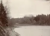 Hamnviken