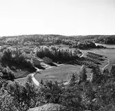 Vy över bostadsområdet i Marsta