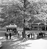 Byte av telefonapparater