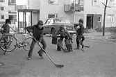 Landhockey