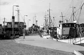 Ankarudden