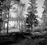Gamla Rosengården