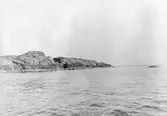 Skalklubbarna