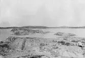Skalklubbarna