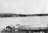 Råholmen