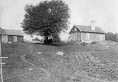 Råholmen