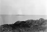 Gumman från Bodskär