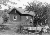 Långholmsnäs