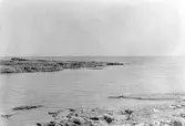 Gunnarstenarna