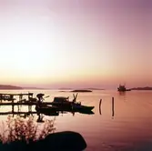 Sommarkväll i skärgården