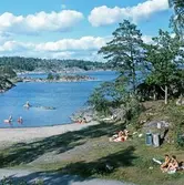 Första Pumpviken, Lövhagen