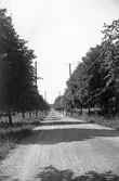 Hamnviksvägen